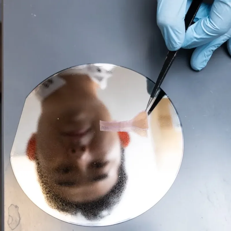 Researcher examines stretchable multielectrode array device on top of mirror