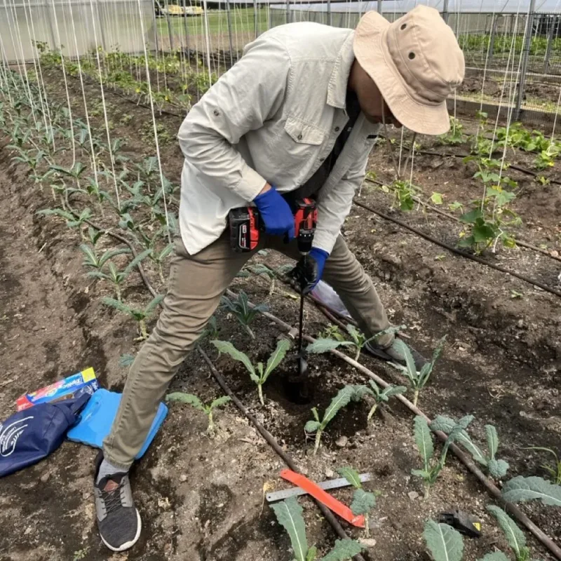 Researcher is in a field on a farm drilling a hole into a row of vegetables to help install the solar powered drip irrigation system
